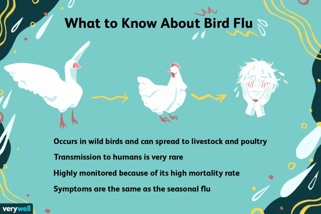 7 Common Bird Flu Symptoms in Humans